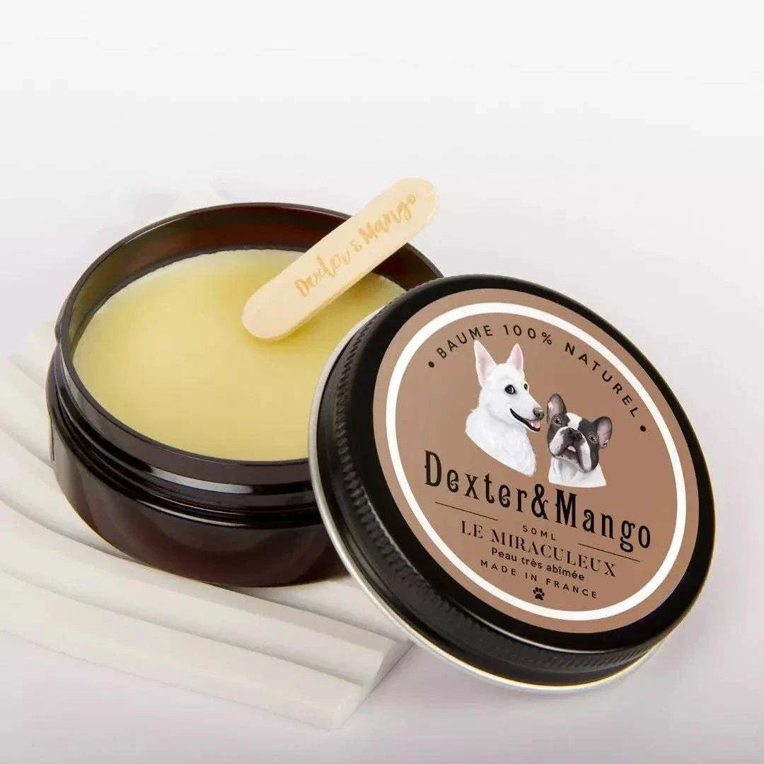 Natural vegan dog balm in dark container, labeled "Dexter&Mango," with a wooden applicator.