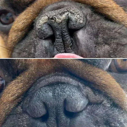 Natural vegan dog balm for moisturizing and protecting sensitive noses.