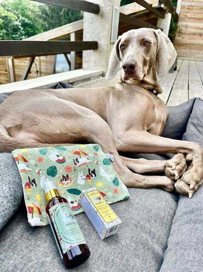 Oeko-Tex certified cotton canvas pouch with summer illustration next to Dexter & Mango products.