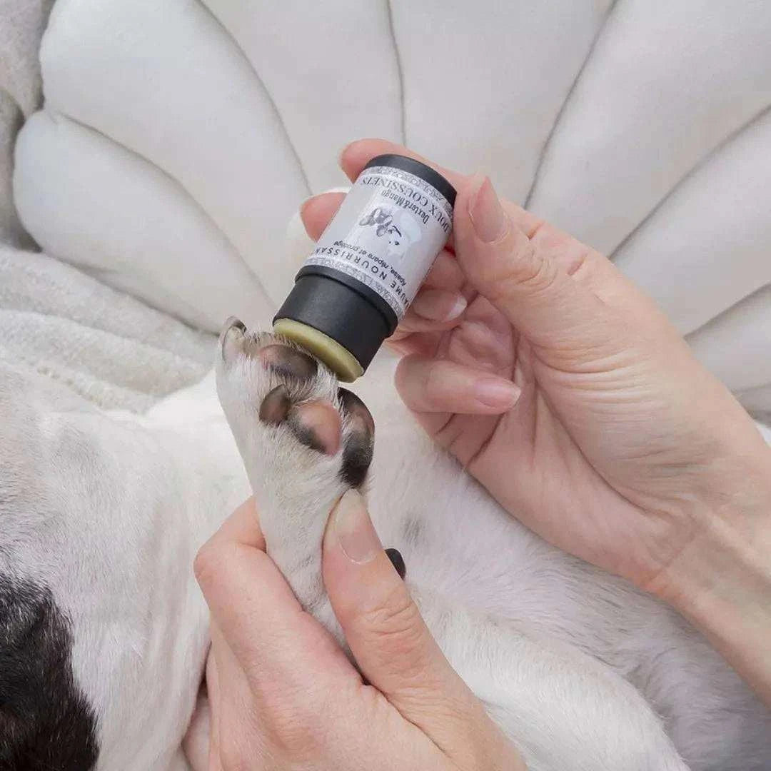 Dog paw being applied with Stick Soft pad balm, a natural, vegan, cruelty-free product from France.