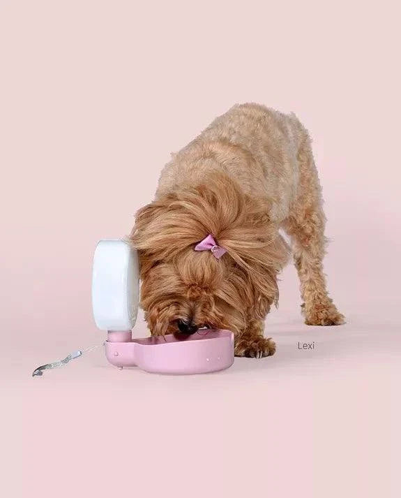 Dusty pink design travel bottle with anti-drip valve for dogs.