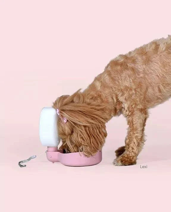 Dusty pink travel water bottle for dogs with anti-drip valve, ideal for walking.