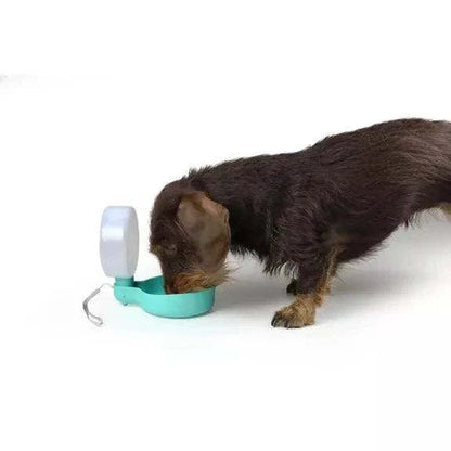 Aquamarine travel bottle for dogs with anti-drip valve in use.