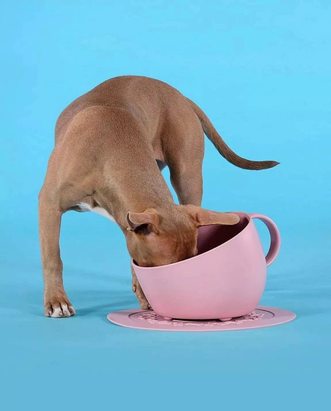 high anti-splash bowl with pink saucer mat for dogs