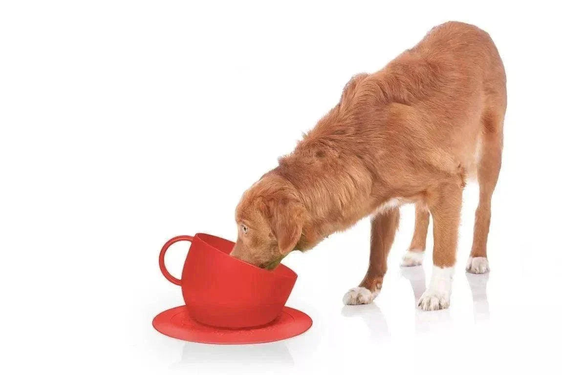 Dog using a high anti-splash red bowl with saucer mat, 2500ml capacity, non-slip rubber feet.