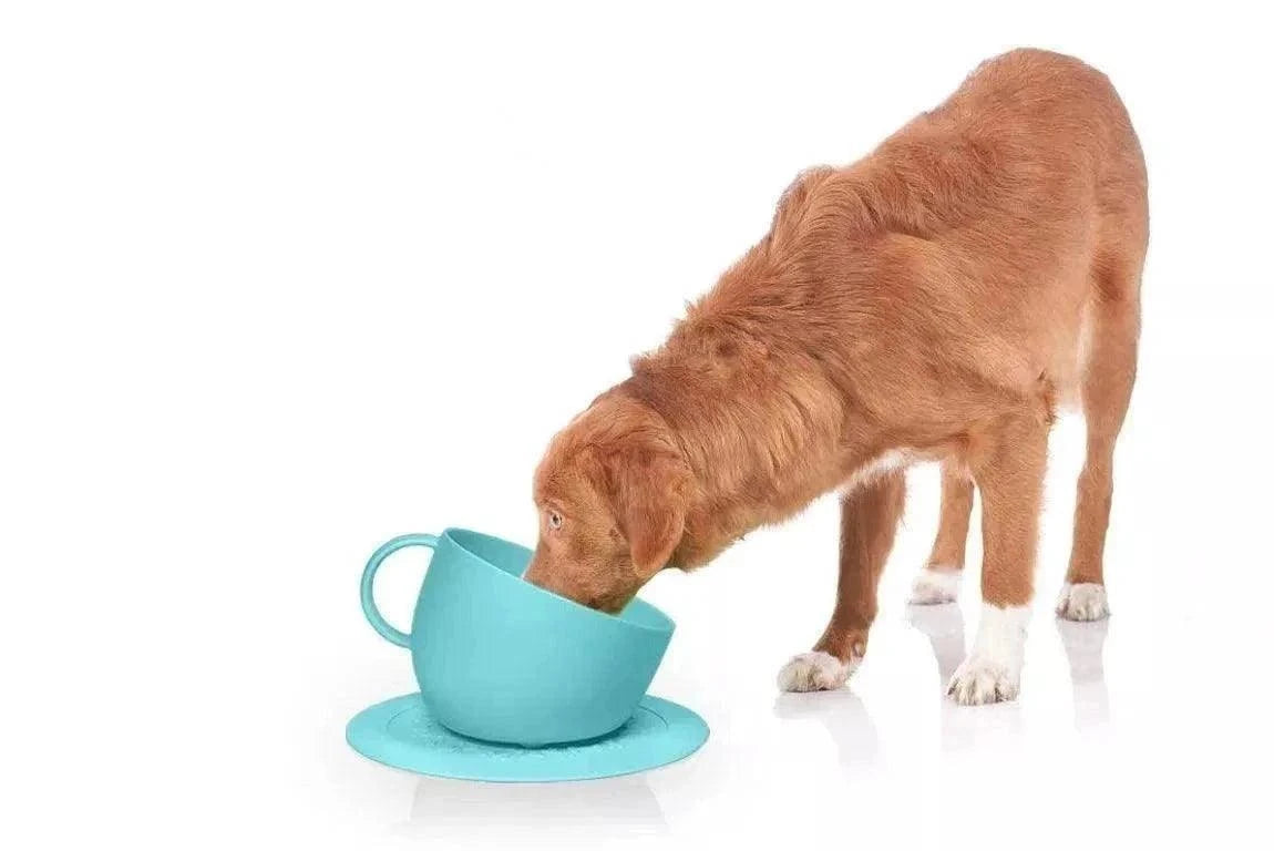 Dog using high anti-splash bowl with aquamarine saucer mat, made from recycled plastic.